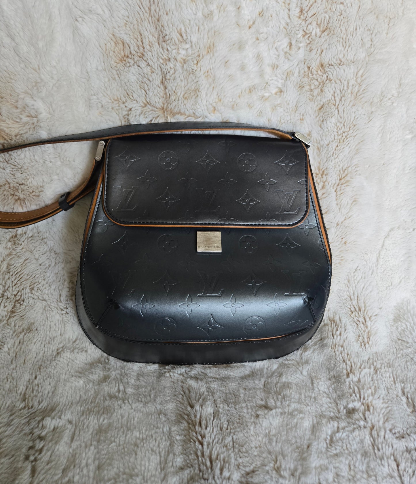 Louis Vuitton Monogram Mat Webster Street Bag Shoulder Crossbody Bag