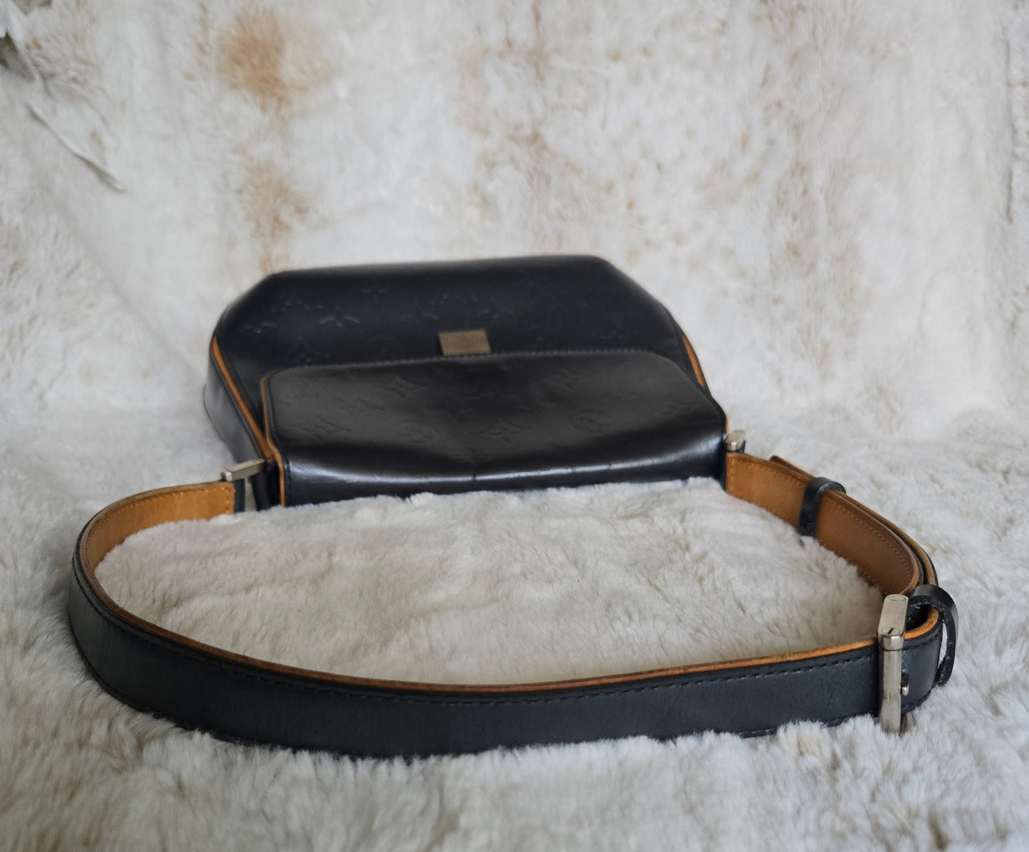 Louis Vuitton Monogram Mat Webster Street Bag Shoulder Crossbody Bag