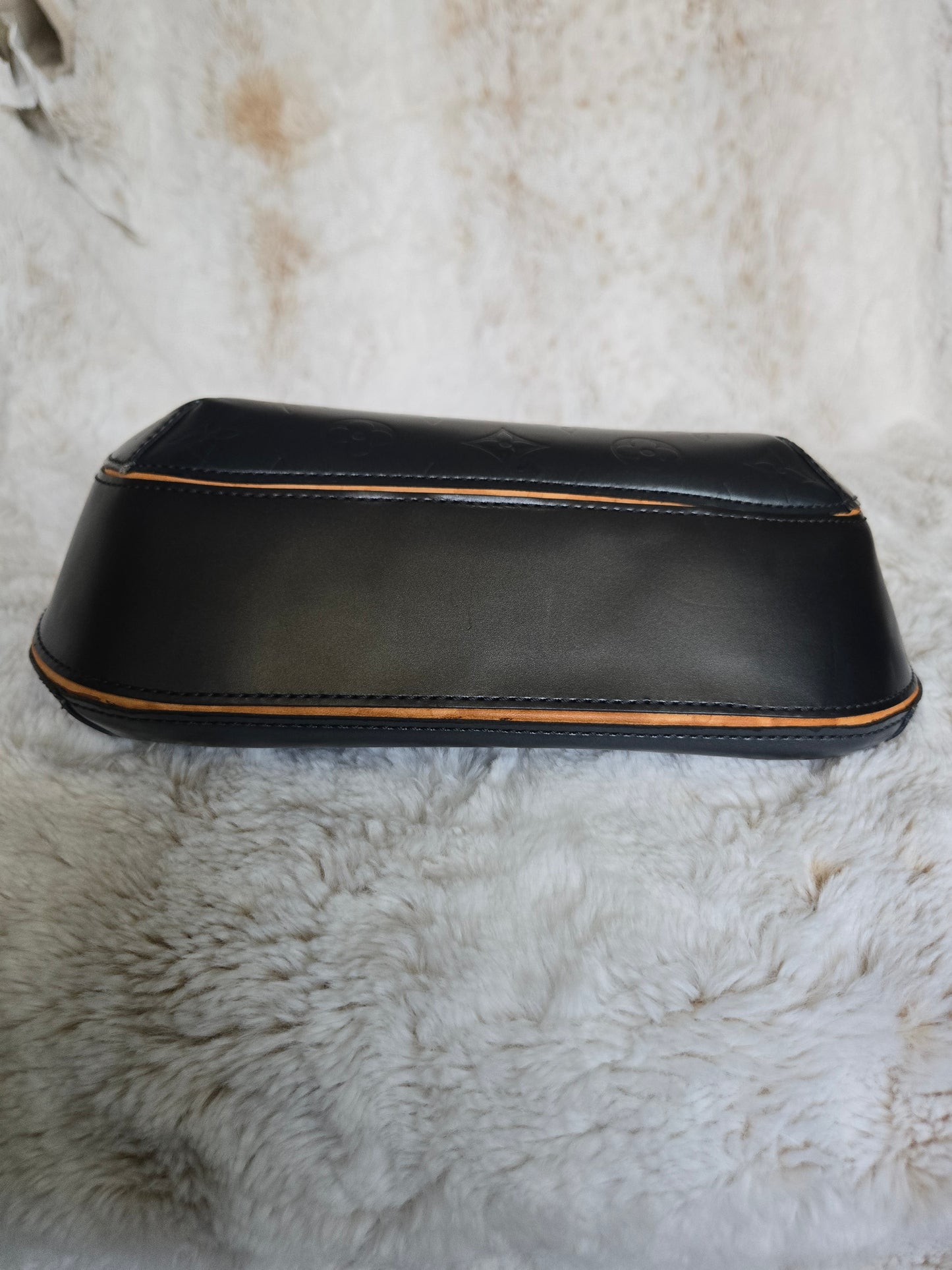 Louis Vuitton Monogram Mat Webster Street Bag Shoulder Crossbody Bag